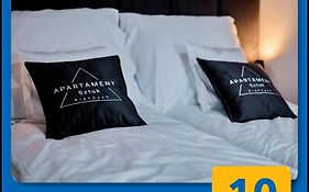 Apartament Sztuk Pięknych 4